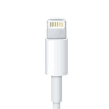 Apple Lightning cable connector, close-up on the metal contact pins